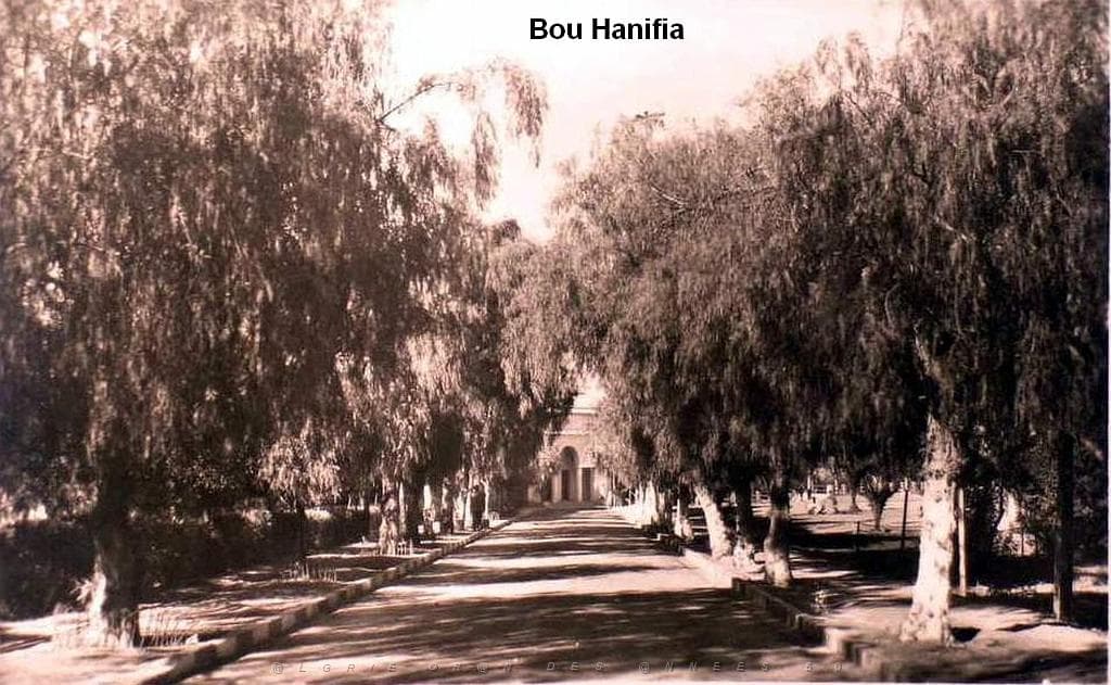 Old road leading to the Hotel